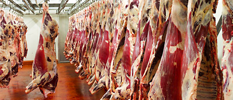 Dehumidification in the meat industry-Trotec