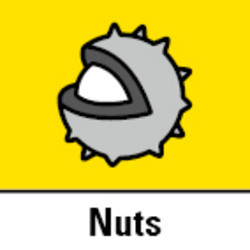 Nuts