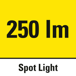 Spotlight with a luminous flux of 250 lm