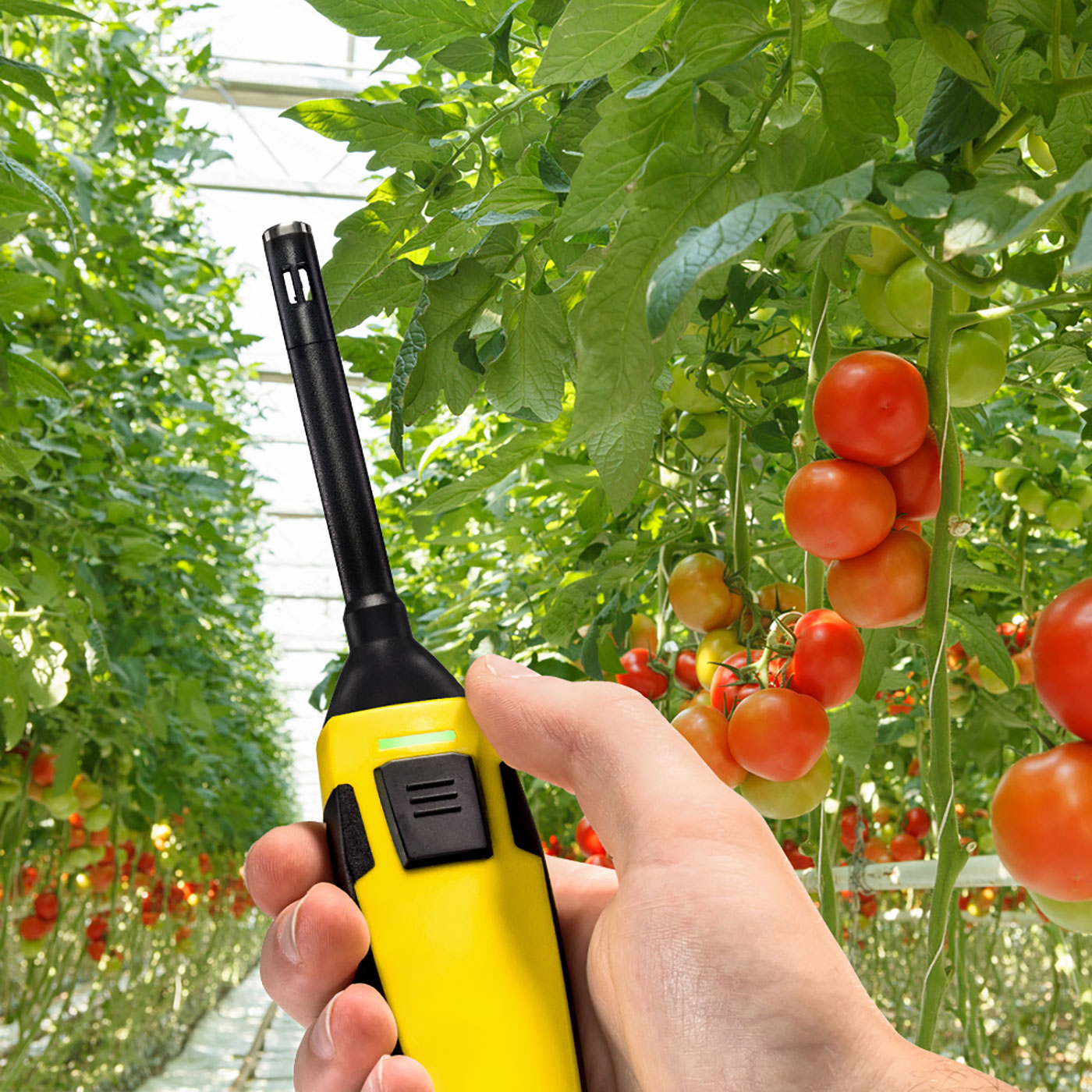 The BC21WP allows you to record all important climate parameters
