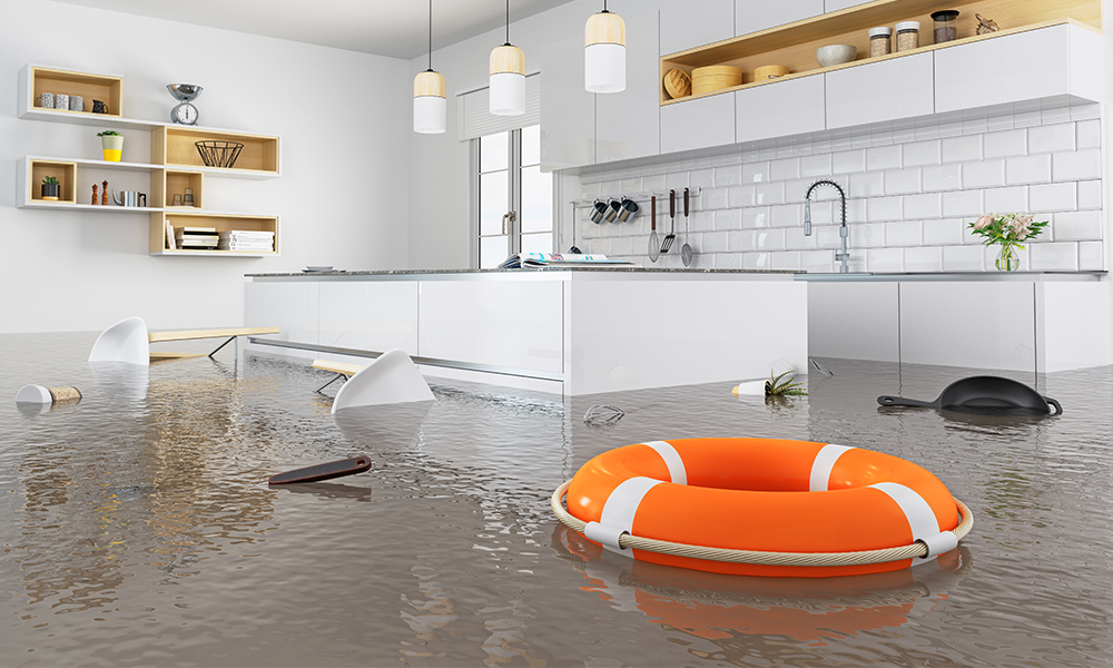 TTK 350 S – water damage restoration